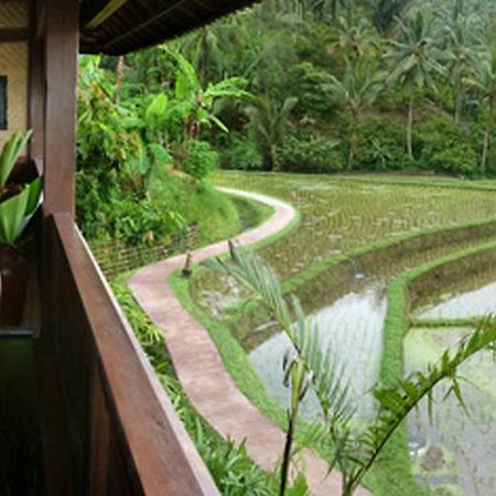 Bali Eco Stay Zewnętrze zdjęcie
